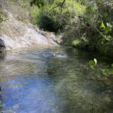 Barranc de Mas Calsan